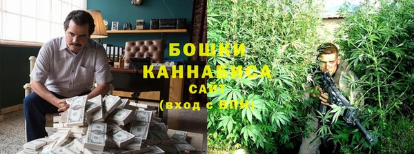 ГАЛЛЮЦИНОГЕННЫЕ ГРИБЫ Бронницы