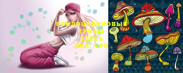 ГАЛЛЮЦИНОГЕННЫЕ ГРИБЫ Бронницы