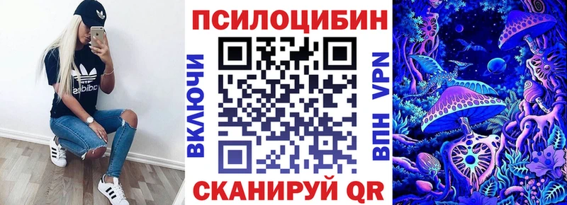 Псилоцибиновые грибы ЛСД  Купить закладки  Нелидово 