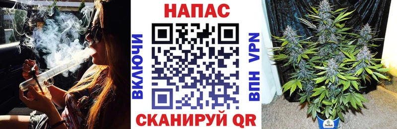 Купить где Нелидово Бошки марихуана AK-47